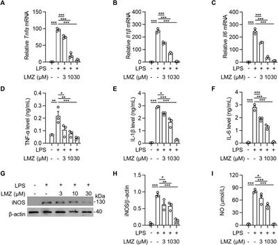 Lomerizine attenuates LPS-induced acute lung injury by inhibiting the macrophage activation through reducing Ca2+ influx